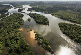 Murder of Brazil official marks new low in war on Amazon environmentalists 